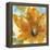 Amber Gold I-Chris Paschke-Framed Stretched Canvas