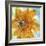 Amber Gold II-Chris Paschke-Framed Art Print