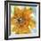 Amber Gold II-Chris Paschke-Framed Art Print