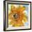 Amber Gold II-Chris Paschke-Framed Art Print