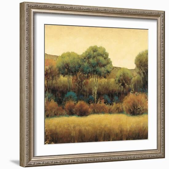 Amber Horizon 1-James Wiens-Framed Art Print