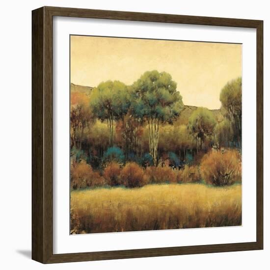 Amber Horizon 1-James Wiens-Framed Art Print