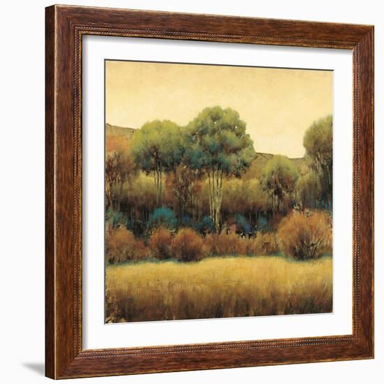 Amber Horizon 1-James Wiens-Framed Art Print