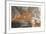 Amber Inlet-Peter Adams-Framed Collectable Print