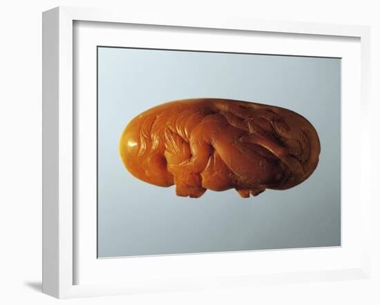 Amber Lid of Perfume Jar, Decorated with Carved Figure of Dolphin-null-Framed Giclee Print