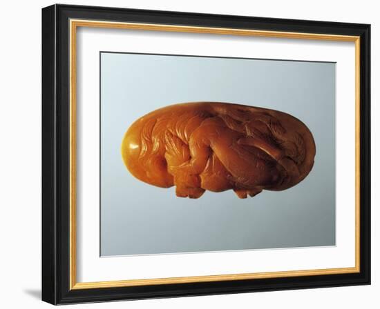 Amber Lid of Perfume Jar, Decorated with Carved Figure of Dolphin-null-Framed Giclee Print