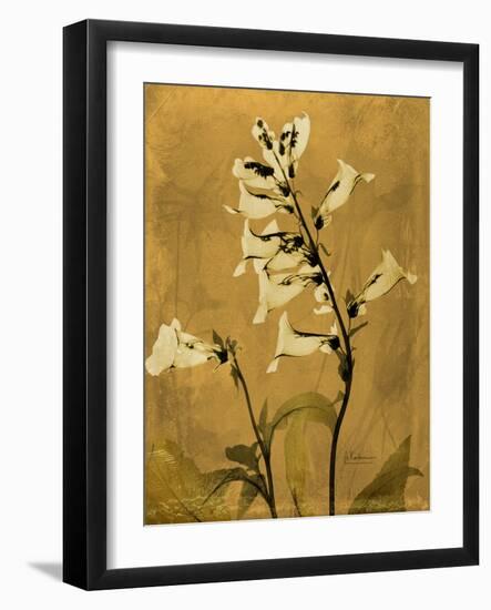 Amber Opus Foxglove-Albert Koetsier-Framed Art Print