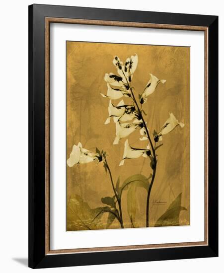 Amber Opus Foxglove-Albert Koetsier-Framed Art Print