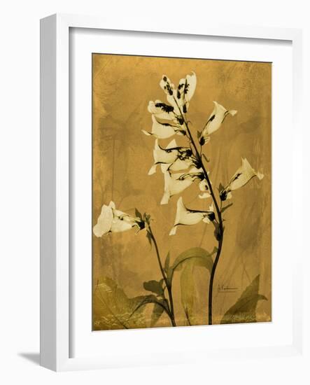 Amber Opus Foxglove-Albert Koetsier-Framed Art Print