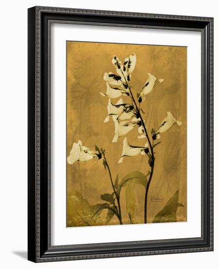 Amber Opus Foxglove-Albert Koetsier-Framed Art Print