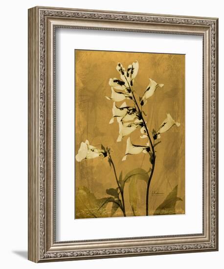 Amber Opus Foxglove-Albert Koetsier-Framed Premium Giclee Print