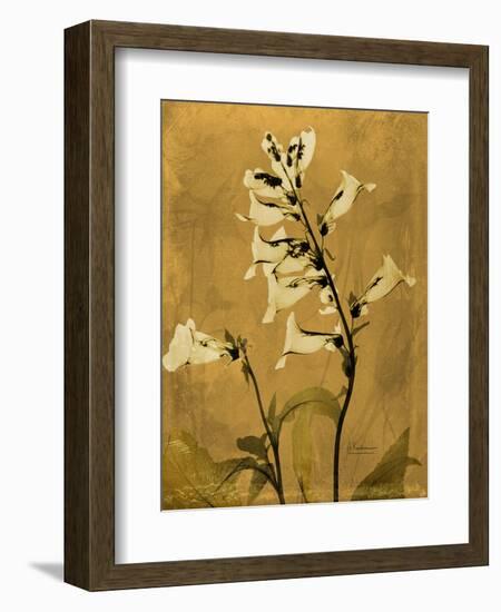 Amber Opus Foxglove-Albert Koetsier-Framed Premium Giclee Print