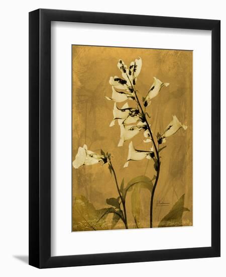 Amber Opus Foxglove-Albert Koetsier-Framed Premium Giclee Print