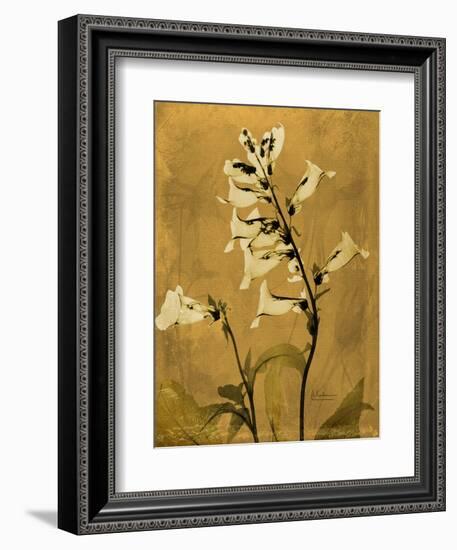 Amber Opus Foxglove-Albert Koetsier-Framed Premium Giclee Print