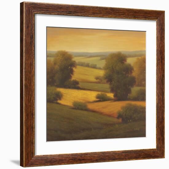 Amber Outlook II-Pierre-Framed Art Print