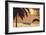 Amber Palms-Diane Romanello-Framed Art Print