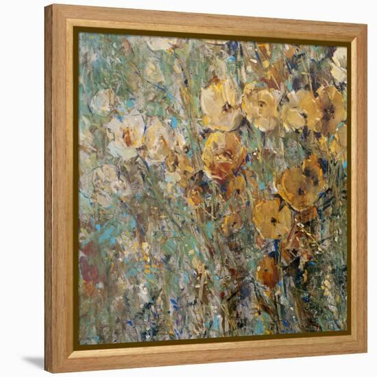 Amber Poppy Field I-Tim O'toole-Framed Stretched Canvas