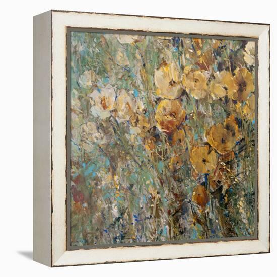 Amber Poppy Field I-Tim O'toole-Framed Stretched Canvas