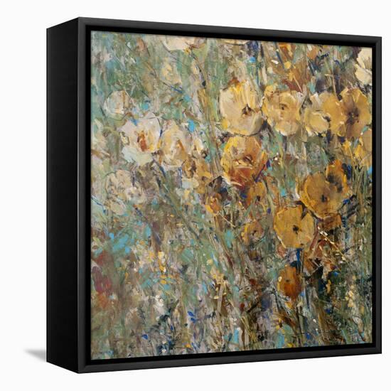 Amber Poppy Field I-Tim O'toole-Framed Stretched Canvas