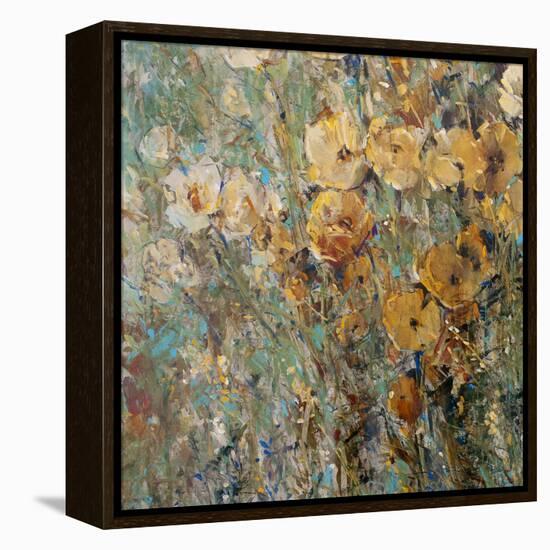 Amber Poppy Field I-Tim O'toole-Framed Stretched Canvas