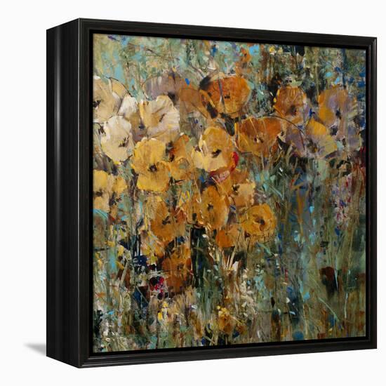 Amber Poppy Field II-Tim O'toole-Framed Stretched Canvas