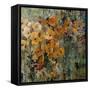 Amber Poppy Field II-Tim O'toole-Framed Stretched Canvas