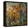 Amber Poppy Field II-Tim O'toole-Framed Stretched Canvas