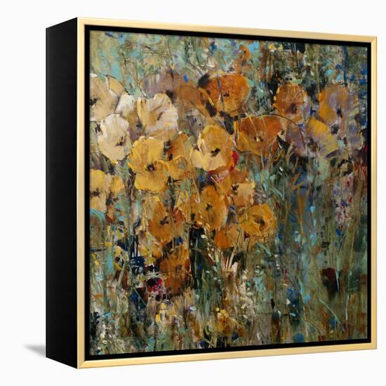 Amber Poppy Field II-Tim O'toole-Framed Stretched Canvas