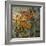 Amber Poppy Field II-Tim O'toole-Framed Premium Giclee Print