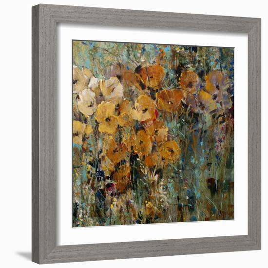 Amber Poppy Field II-Tim O'toole-Framed Premium Giclee Print