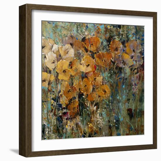 Amber Poppy Field II-Tim O'toole-Framed Premium Giclee Print