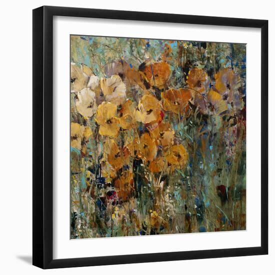 Amber Poppy Field II-Tim O'toole-Framed Premium Giclee Print