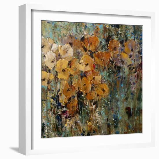 Amber Poppy Field II-Tim O'toole-Framed Premium Giclee Print