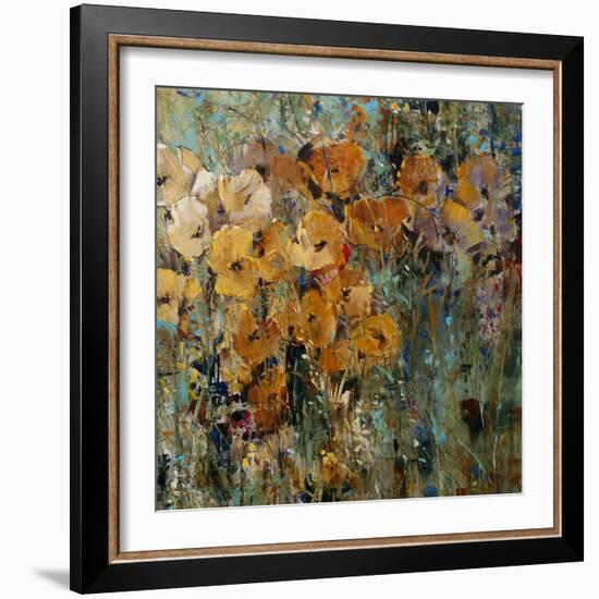 Amber Poppy Field II-Tim O'toole-Framed Art Print