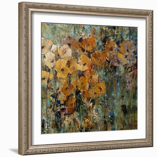 Amber Poppy Field II-Tim O'toole-Framed Art Print