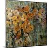 Amber Poppy Field II-Tim O'toole-Mounted Art Print