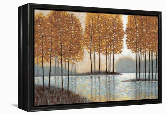 Amber Reflections-Norman Wyatt Jr.-Framed Stretched Canvas