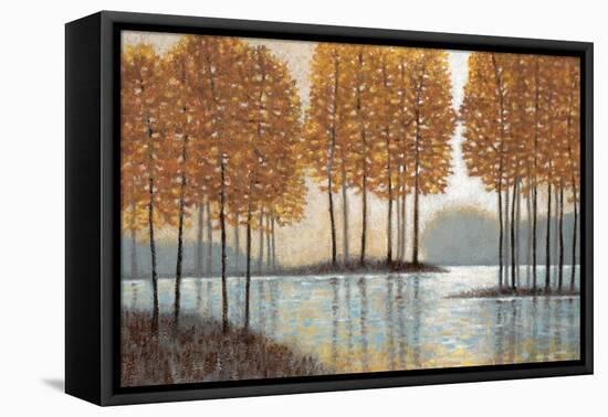 Amber Reflections-Norman Wyatt Jr.-Framed Stretched Canvas