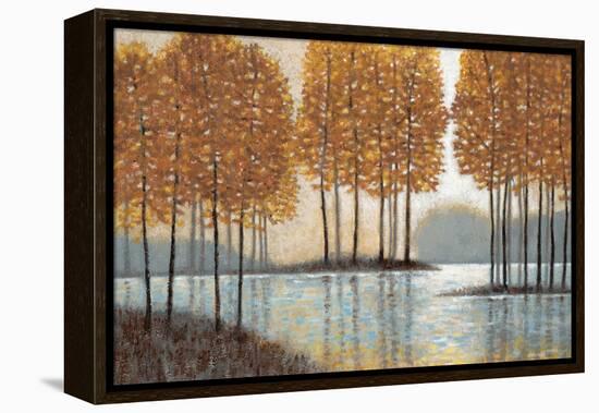 Amber Reflections-Norman Wyatt Jr.-Framed Stretched Canvas