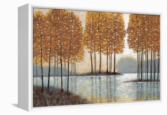 Amber Reflections-Norman Wyatt Jr.-Framed Stretched Canvas