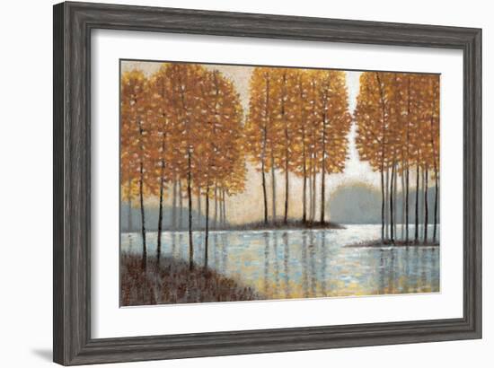 Amber Reflections-Norman Wyatt Jr.-Framed Art Print