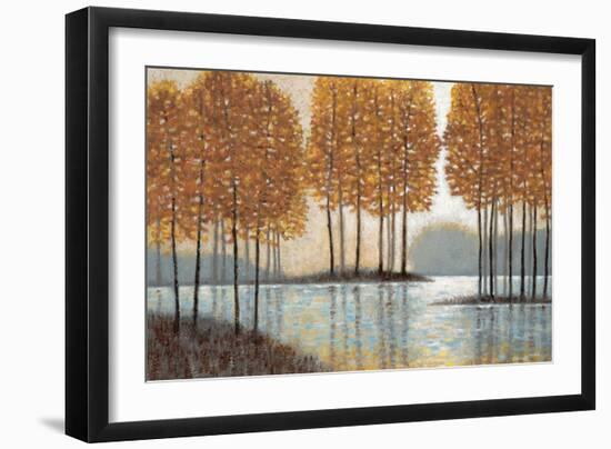 Amber Reflections-Norman Wyatt Jr.-Framed Art Print