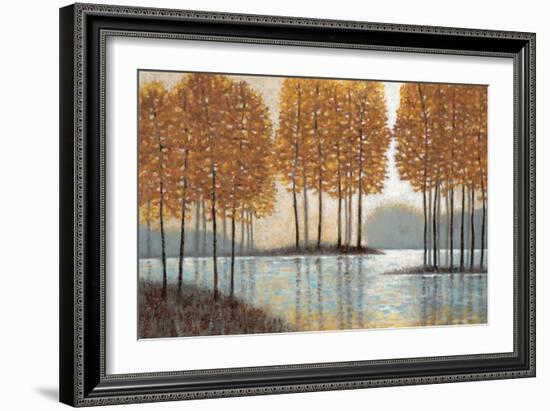 Amber Reflections-Norman Wyatt Jr.-Framed Art Print