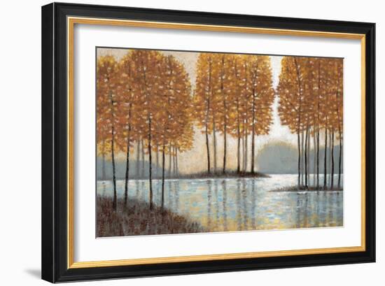 Amber Reflections-Norman Wyatt Jr.-Framed Art Print