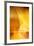 Amber Refraction I-Douglas Taylor-Framed Photographic Print