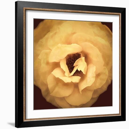 Amber Rose-Katja Marzahn-Framed Giclee Print