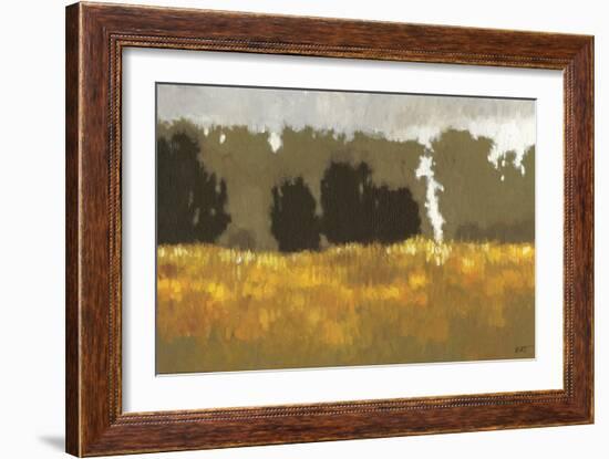 Amber Waves I-Norman Wyatt Jr.-Framed Art Print