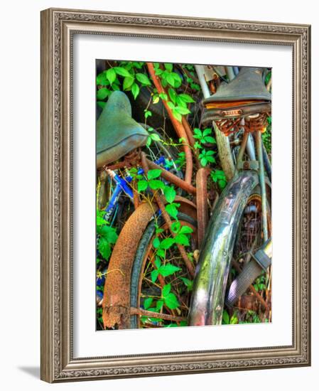 Amberline-Jim Crotty-Framed Photographic Print