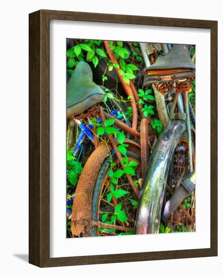 Amberline-Jim Crotty-Framed Photographic Print