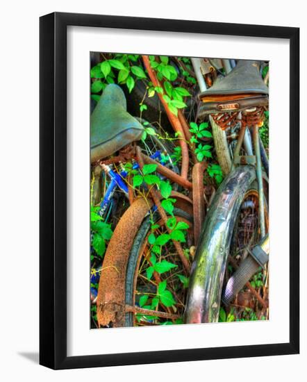 Amberline-Jim Crotty-Framed Photographic Print